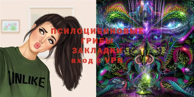 Галлюциногенные грибы Magic Shrooms  Миасс 